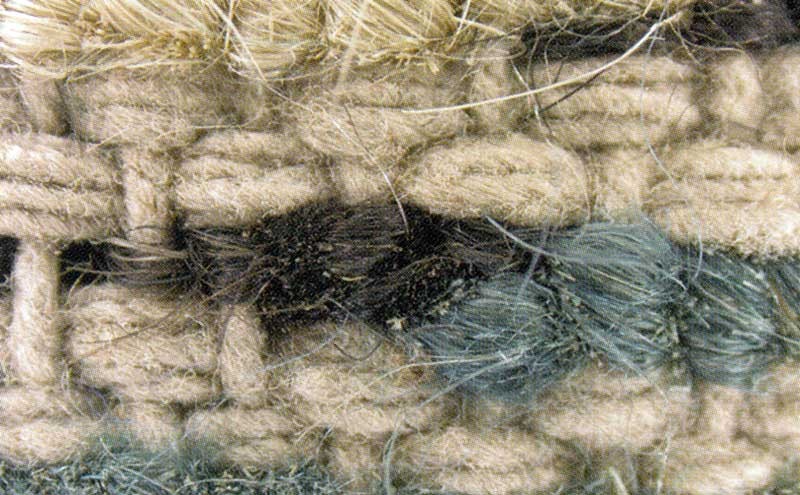Click image for larger version

Name:	XFrom-Plate-55-Franses---'2-shoots,-cotton,-Z4'.jpg
Views:	67
Size:	131.7 KB
ID:	863