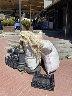 Click image for larger version  Name:	IMG_5896.jpg Views:	0 Size:	211.1 KB ID:	2095