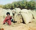 Click image for larger version

Name:	saryk_camels_bag.jpg
Views:	163
Size:	108.0 KB
ID:	3145