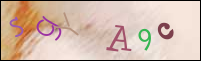 Registration Image