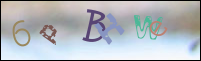 Registration Image