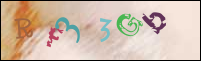 Registration Image