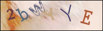 Registration Image