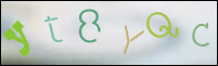 Registration Image
