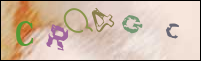 Registration Image