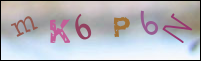 Registration Image