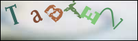 Registration Image