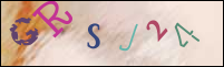 Registration Image
