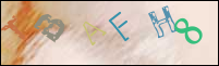 Registration Image