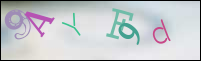Registration Image