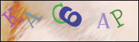Registration Image
