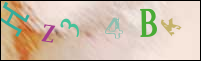 Registration Image