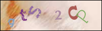 Registration Image