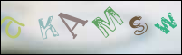 Registration Image