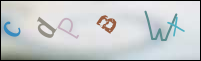 Registration Image