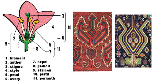 The Palmette as Decoration in Persian Oriental Rug Design NW Rugs